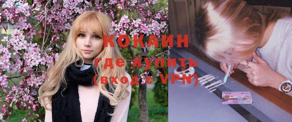 apvp Алзамай