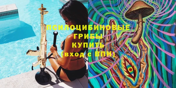 индика Алексеевка