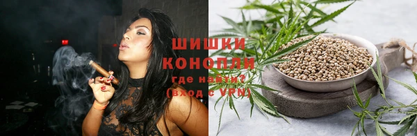 ешки Алексин