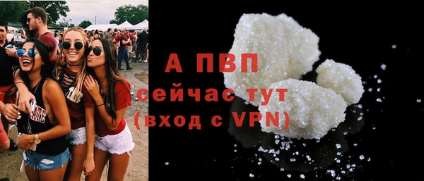 apvp Алзамай